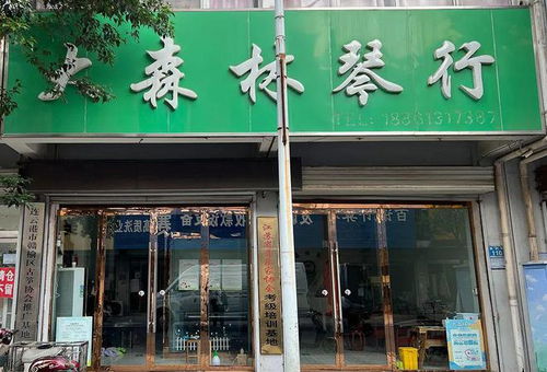 家有孩子的速看 19.9元抢 2节精品体验课,美术 钢琴 古筝任选其一 更有....