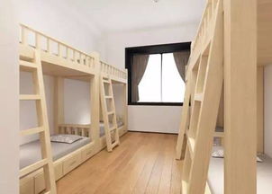 开学季丨老鹰学费优惠,强势来袭