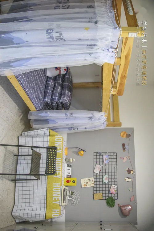美术生 上了美院才知道,画室的寝室,真香 附美院宿舍生图