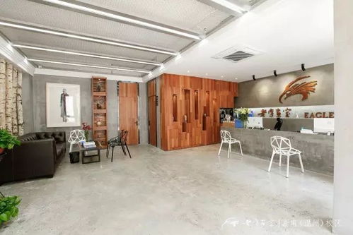 2019届老鹰画室预报名招生通道开通啦