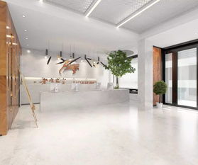 老鹰画室温州精品校区 挥洒梦想的光芒