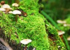 郴州第一人民医院试管婴儿技术，成功率分析与未来展望