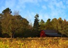 试管婴儿孕中期，旅游出行的可行与注意事项