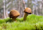沈阳箐华医院试管婴儿技术，实现生育梦想的新希望